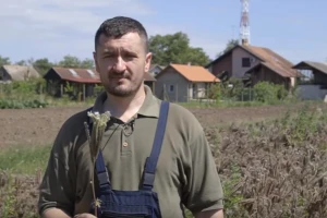 Facelija kao adut u pčelarenju