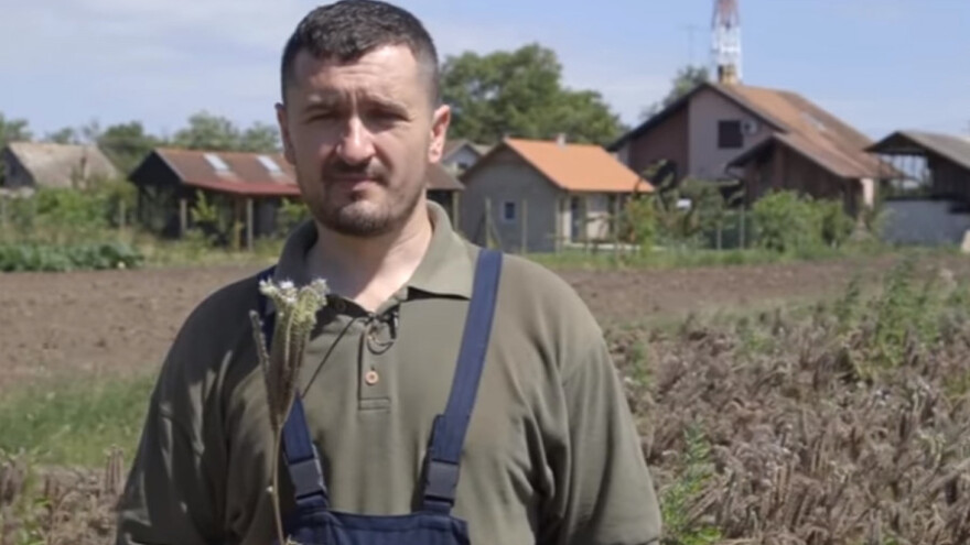 Facelija kao adut u pčelarenju