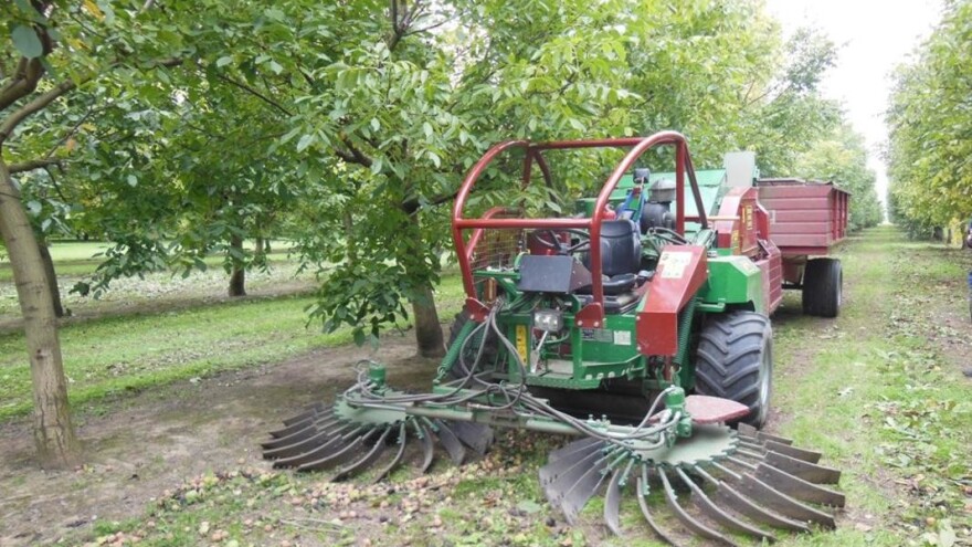 Akcijske cijene za prednarudžbu strojeva FACMA za sakupljanje i preradu jezgričavog voća!