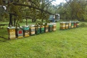 Krenulo je iz hobija, a med Ivice Fajdetića danas ima kupce i u Kuvajtu!