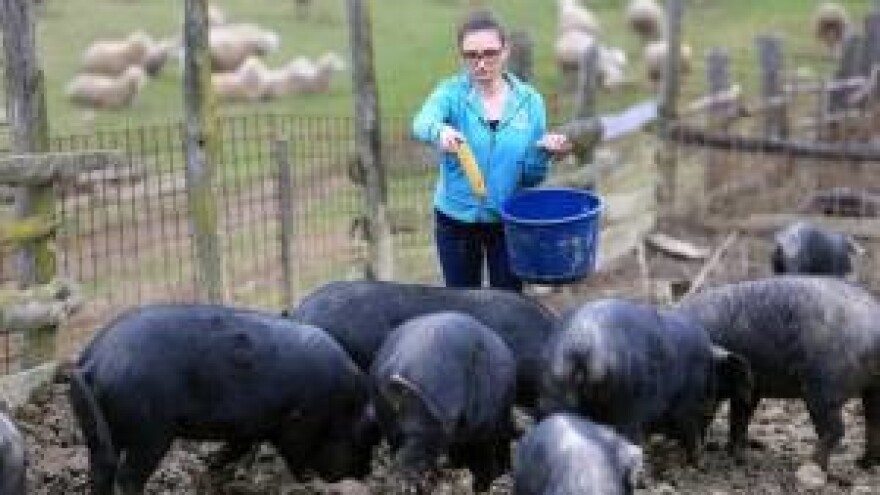 Crno zlato Slavonije na ekstenzivan način