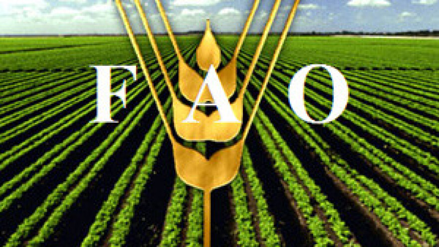 Čobanković na 37. FAO ministarskoj konferenciji