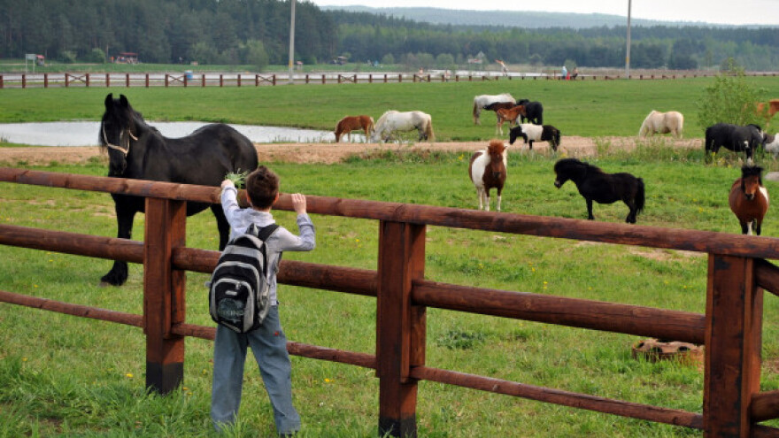Da vidimo kako će načelnici zadržati mlade u selu