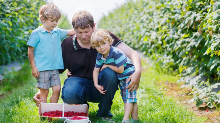 3,5 miliona dolara za bh. poljoprivrednike!