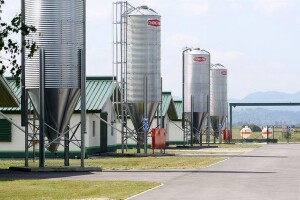 Požar na peradarskoj farmi u Vinici