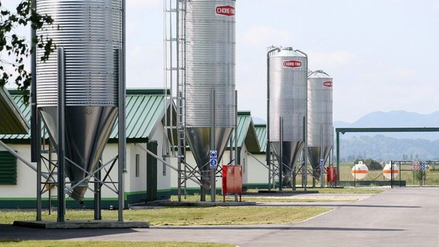 Požar na peradarskoj farmi u Vinici