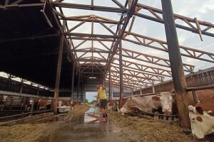 Tuga i teški prizori: Orkanski vjetar uzeo četiri života, odnio i krov farme muznih krava