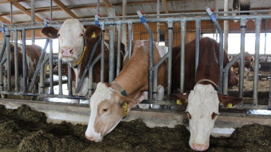 Bosna i Hercegovina prvi put na ICAR listi - šta to znači?