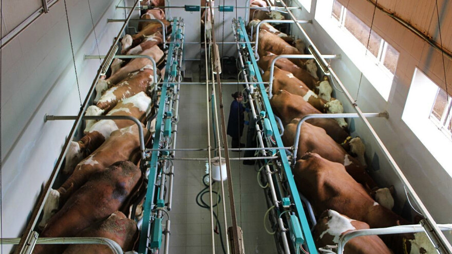 Farma Agro Mašić - najmodernija proizvodnja mlijeka i mesa u Bosni i Hercegovini