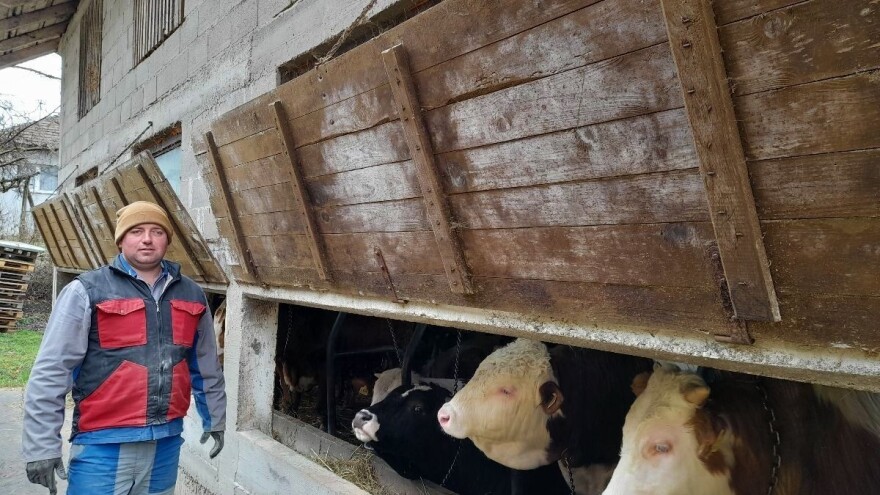 Poskupljenja teško pogodila stočare - rast će i cijene mesa