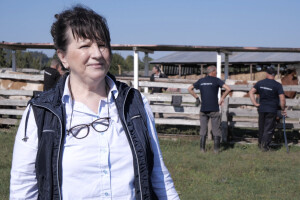 Farma u Živinicama dobila donaciju EU: Ogrlice za krave i dron za usjeve