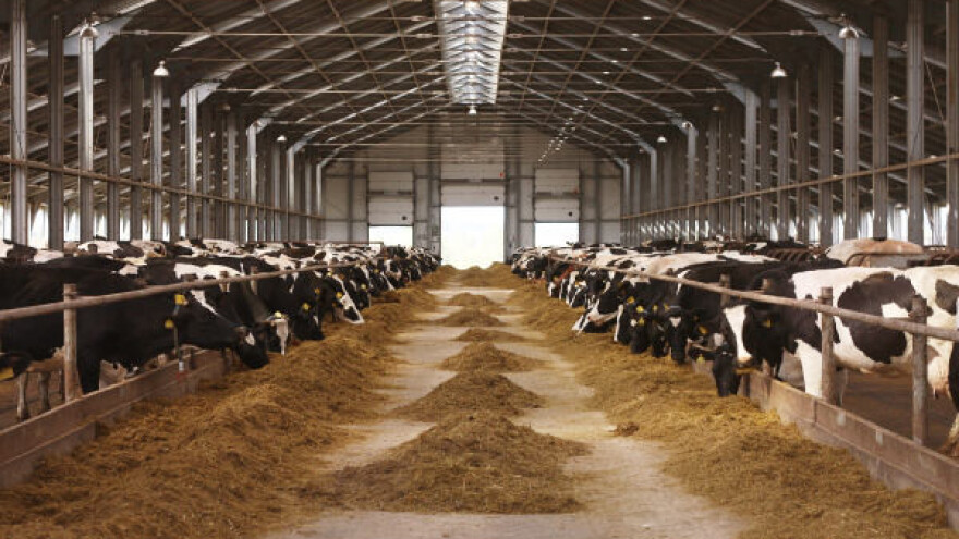 Mirjanić sa predstavnicima USAID-a o Farmi dva