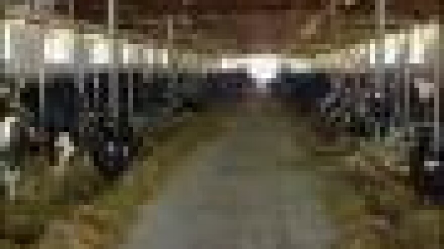 Vlasničke promjene u farmi Holstein