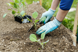 Farma u Sitnešima ugostila 350 mladih iz cijelog svijeta