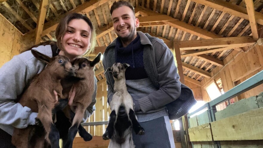 Od studentske klupe do svoje farme: Počeli sa dva jareta, danas imaju i mini siranu