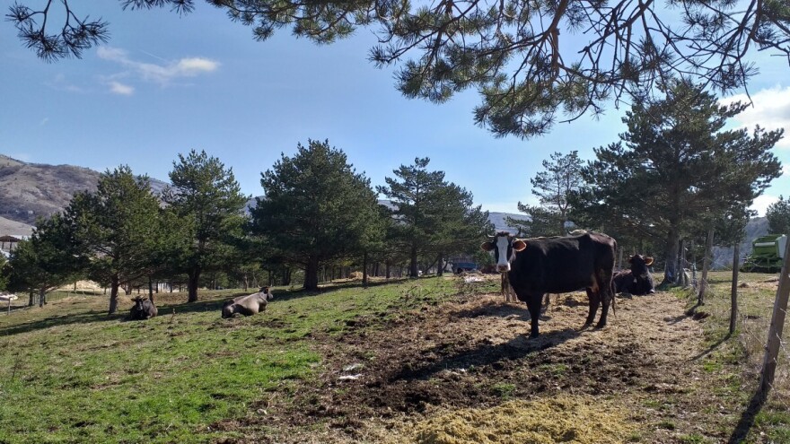 Šta će ove godine poticati Kanton 10, kome ide najviše sredstava?