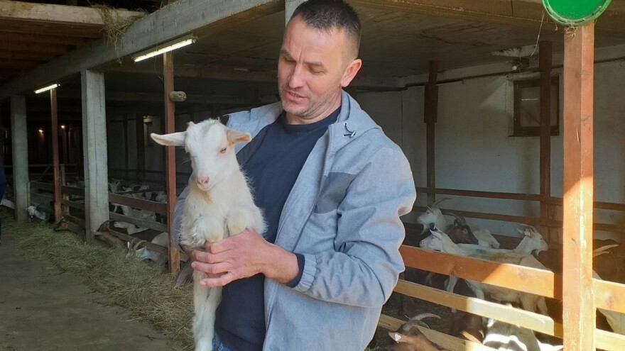 Nije farma jedna krava: Ljuban Gudelj zavodi red među 760 grla stoke