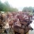Općina odbila nadoknadu štete farmeru kojem su uginule desetine jarića i koza