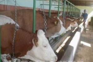 31 farma 90 milijuna kuna