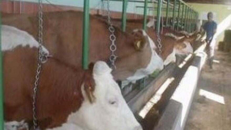 31 farma 90 milijuna kuna