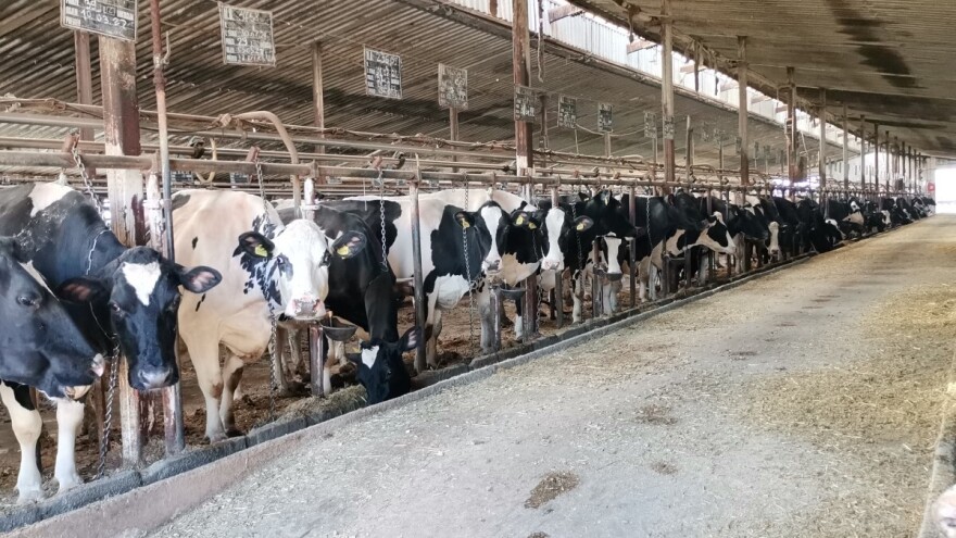 Kanton Sarajevo izdvaja 10 miliona KM za poticaje poljoprivredi