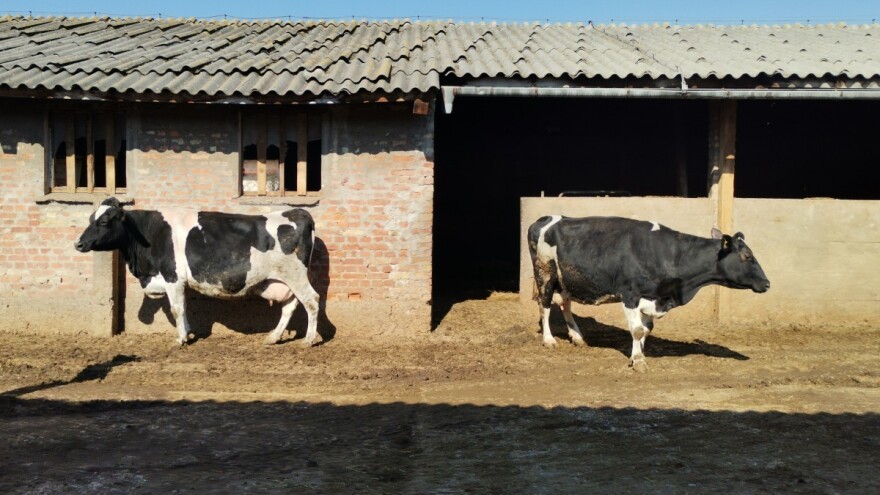 Farma "Butmir" uskoro bi mogla proizvoditi i umjetno gnojivo