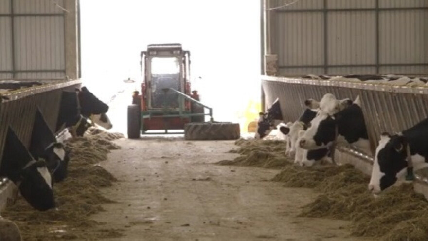 Farma iz Čantavira jedna od tri najbolje u Srbiji