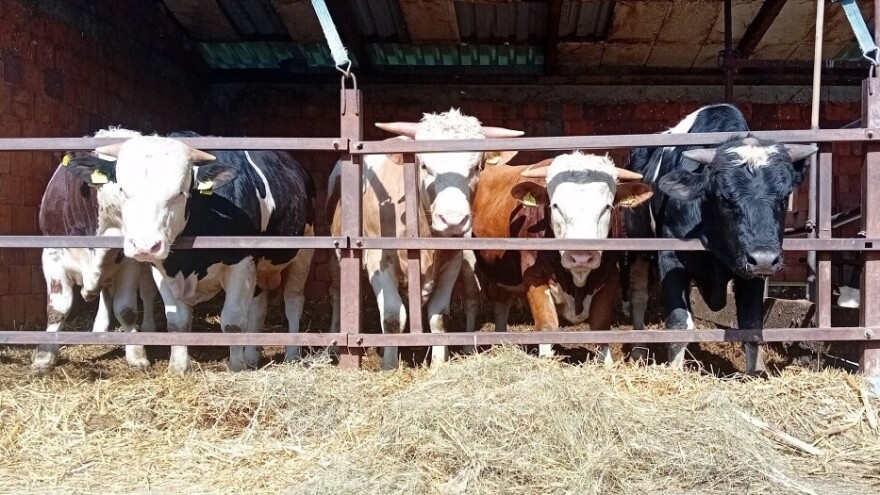 Otvorena platforma za trgovce koji otkupljuju poljoprivredne proizvode i domaće životinje