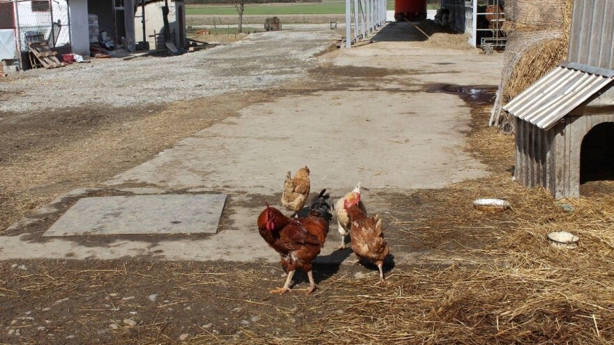 Za OPG-ove s područja naseljenim nacionalnim manjinama 37 milijuna kuna