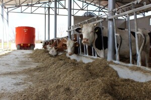 Prosječna otkupna cijena mlijeka na razini EU u srpnju rekordnih 51 €/100 kg, a u Hrvatskoj?