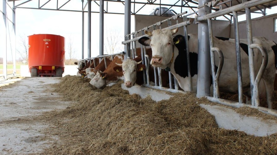 Vučković: Vjerujem da su najgori problemi u mljekarstvu iza nas