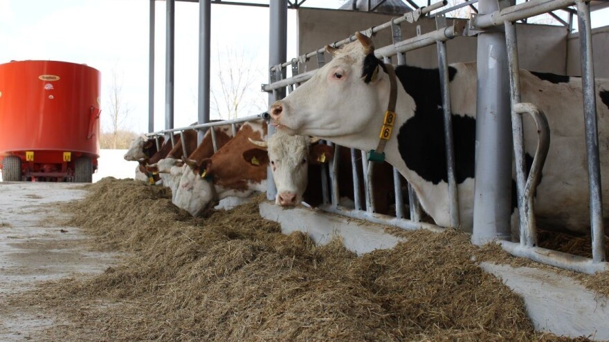 Objavljen natječaj: Za sektor mliječnog govedarstva 30 milijuna kuna