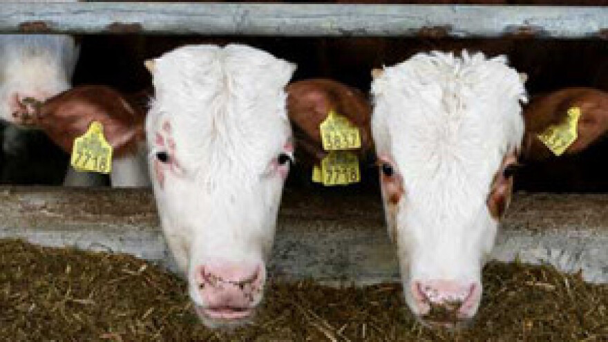 Ulaskom u EU - Pravilnik o dobroj poljoprivredi