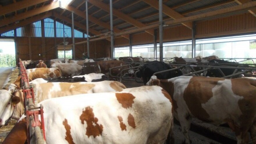 I obiteljska gospodarstva idu u stečaj?