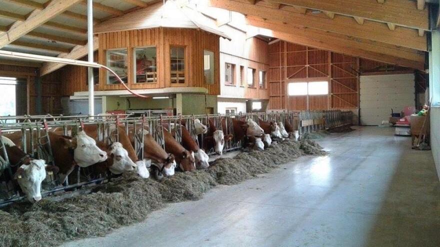 Traži se revizija pravilnika o mlijeku!