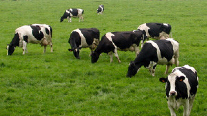 Markići i dalje čekaju Čobankovića