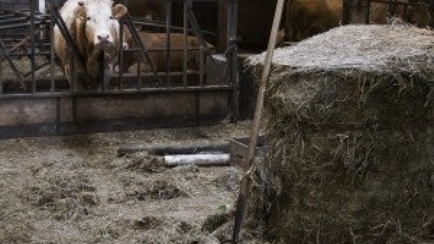 Kontrola unosa gnojiva na parcele!