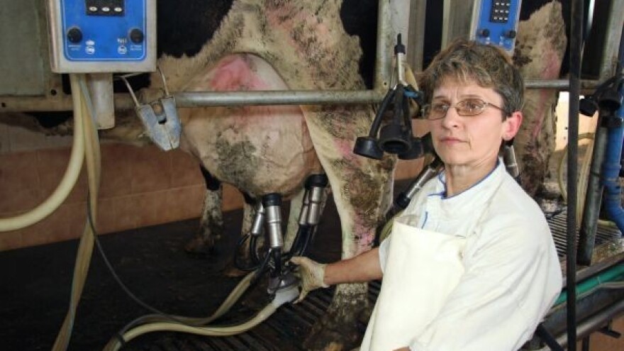 Kraj mliječnih kvota u EU