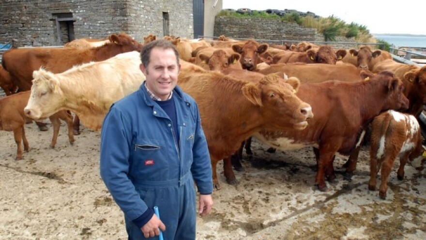 U stočarskoj proizvodnji nema praznika