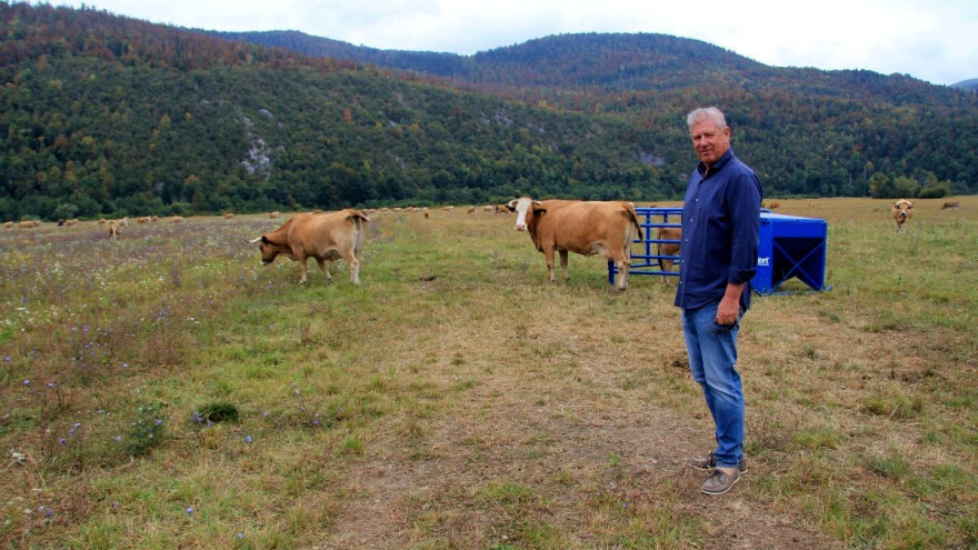 Željko Mihelić: Stočari s krških pašnjaka najveći su gubitnici smanjenja potpora
