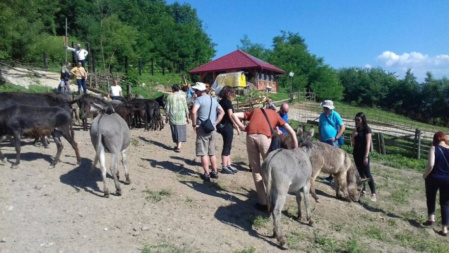 Alen Jusupović oduševio farmom magaraca goste iz Hrvatske, Crne Gore i BiH