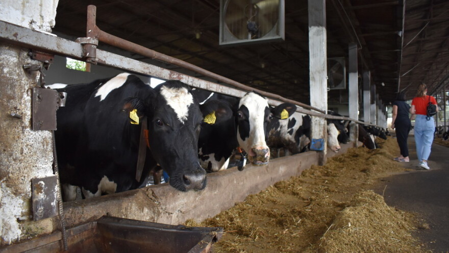 Mikroklima staje: Ako se unutra lakše diše onda je ocena povoljna