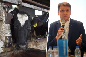 Miroslav Kovač: Kad zadruga nije perspektiva nego smetnja