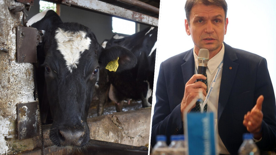 Miroslav Kovač: Kad zadruga nije perspektiva nego smetnja