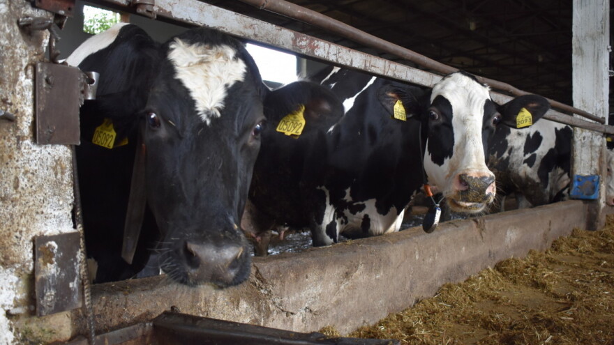 Poljoprivrednici u SBK na koljenima: Za agrar manje od 0,5 posto budžeta