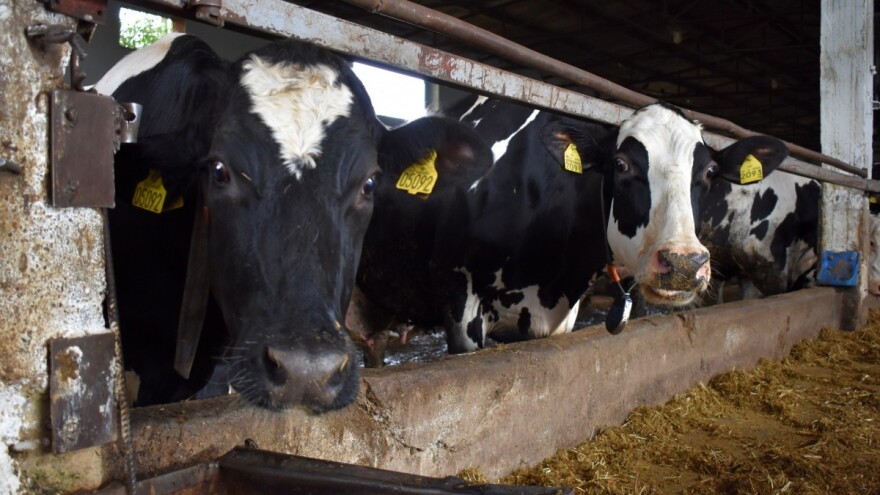 Turski privrednik planira izgradnju farme vrijedne 2,5 miliona KM u Loparama