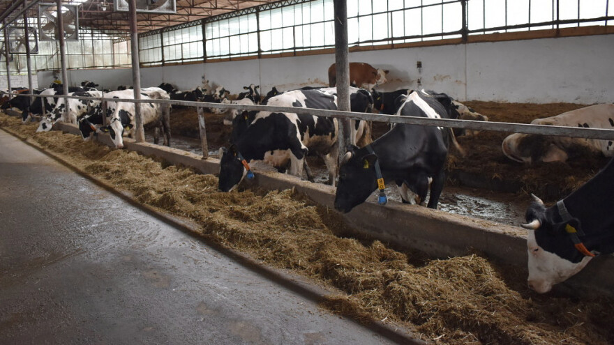 Donesen Program potpore za uređenje sabirališta mlijeka vrijedan dva milijuna kuna