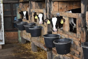 Poljoprivrednici TK: Za poticaje izdvojiti 19,4 miliona KM, farme nema ko naslijediti
