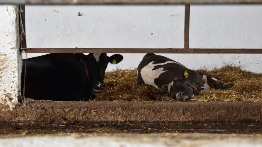 Strategija Od polja do stola: Može li hrvatska poljoprivreda pratiti ambiciozne ciljeve EU-a?