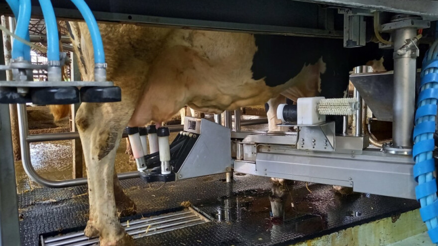 Koliko smo mlijeka i mliječnih proizvoda proizveli u 2022. godini?